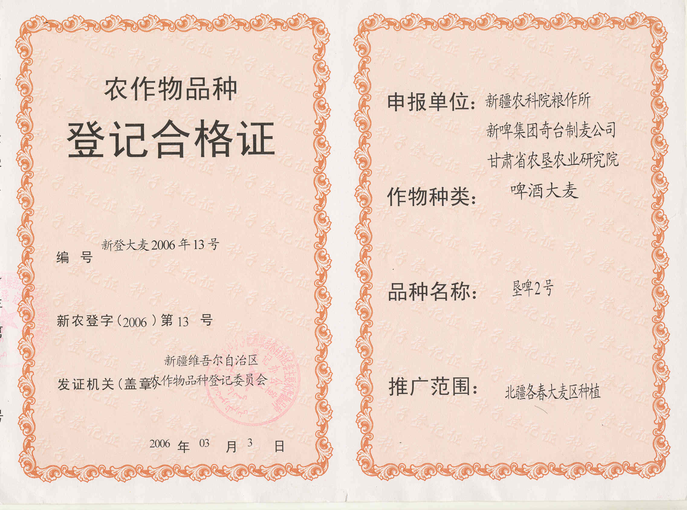 垦啤2号.jpg