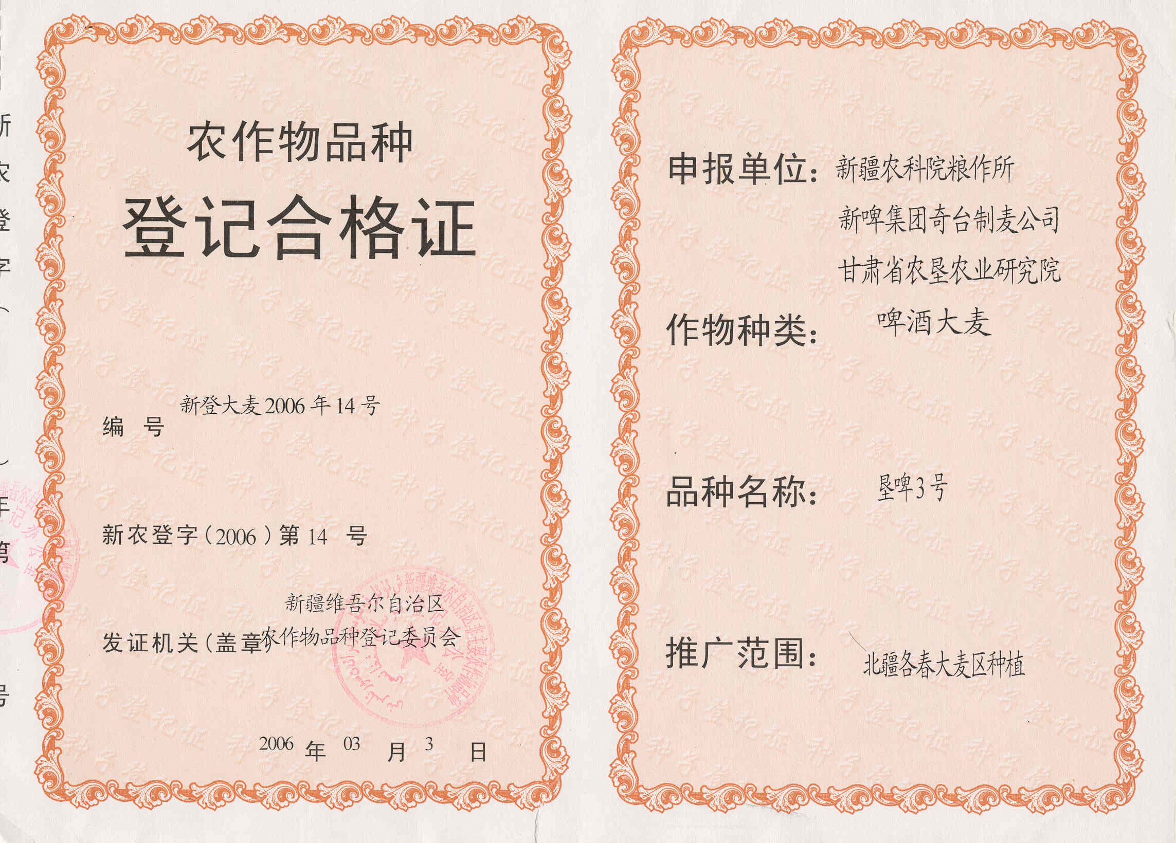 垦啤3号.jpg