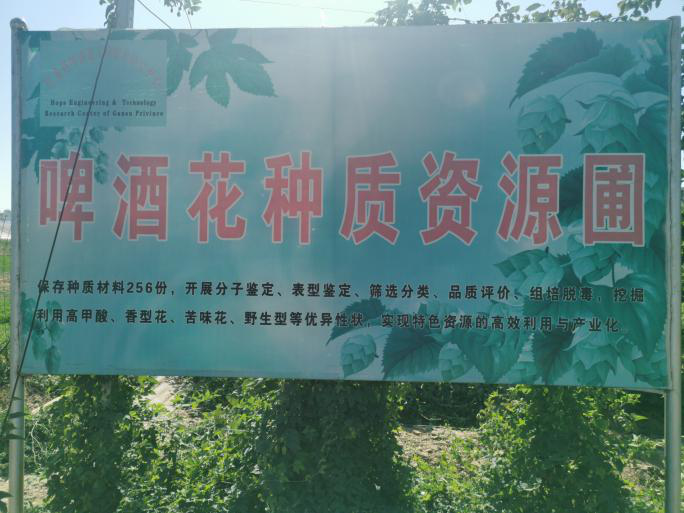 图片5_1631782762272.png