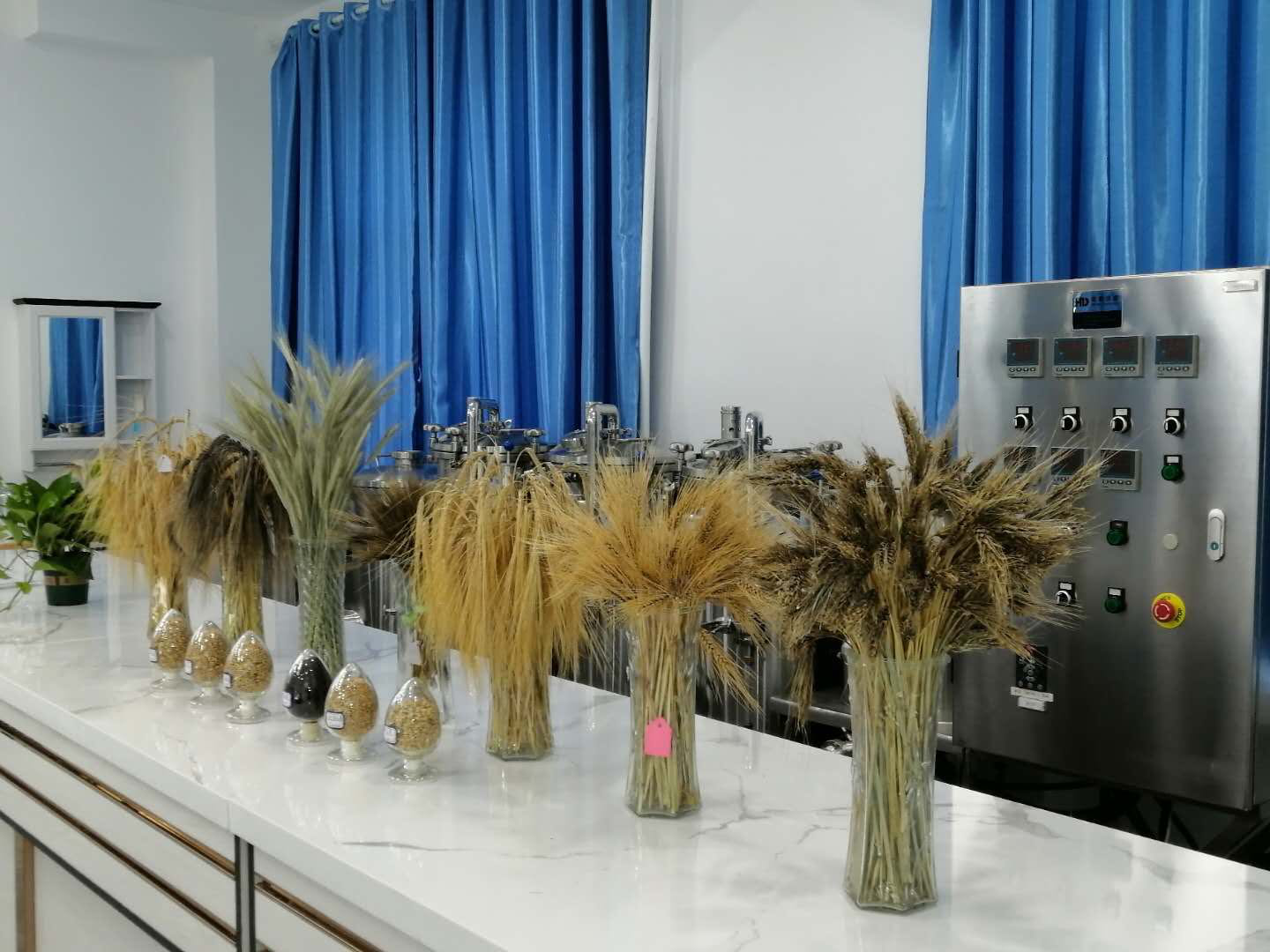 图片9_1631782922743.png