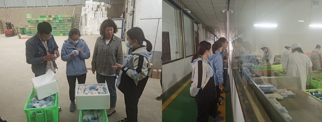 幻灯片2_1652947601059.JPG