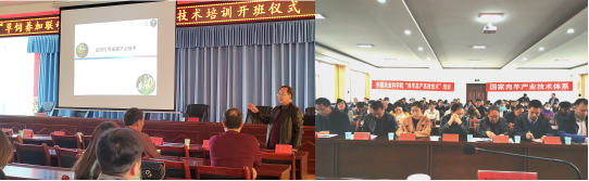 图片7_1679305144716.png
