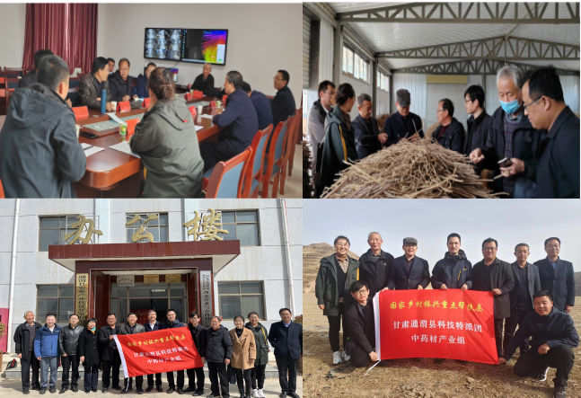 图片8_1679305161612.png