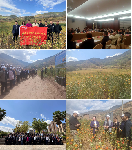 图片12_1681349621513.png