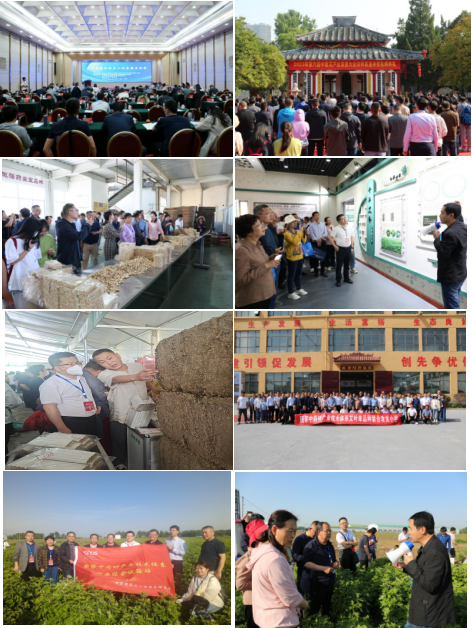 图片1_1684207063609.png