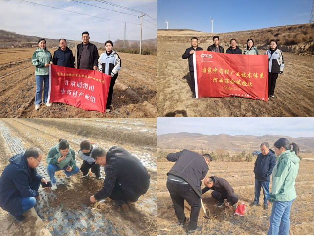 图片1_1710729086352.png