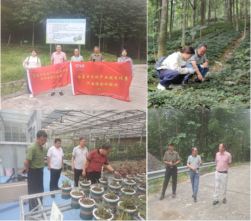 图片1_1721198969179.png