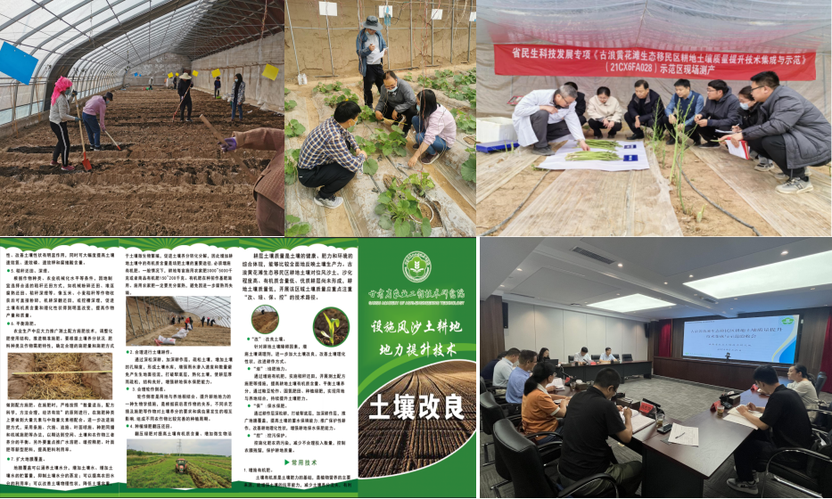 图片222_1724293431313.png