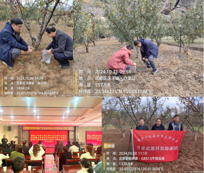 图片2_1730770229601.png