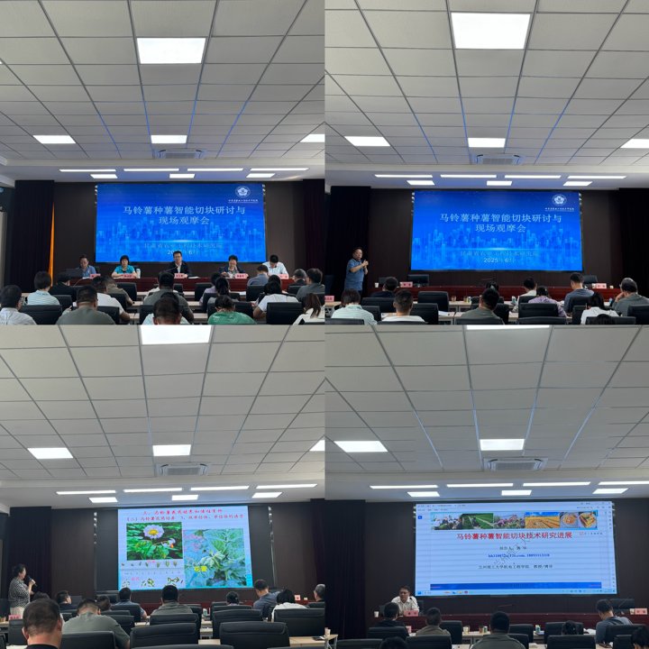 新闻稿图片_1750130247741.jpg