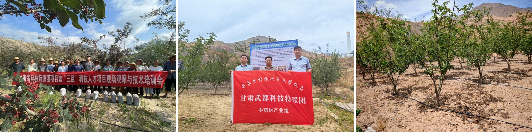 图片1_1752715029893.jpg
