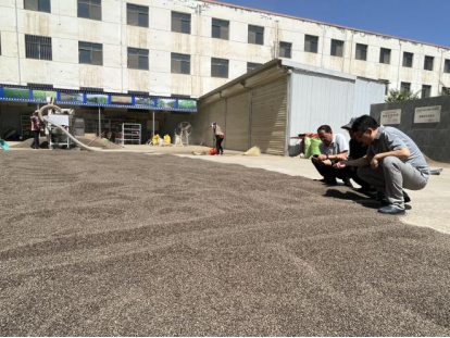 image_1753797418163.png