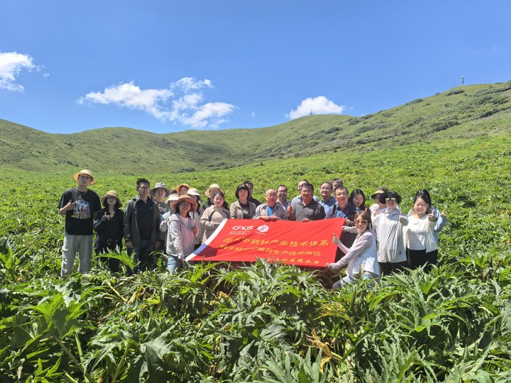 会议照片2_1753846597492.jpg 会议照片2_1753846597492.jpg