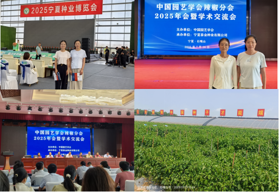 图片1_1754289404255.png