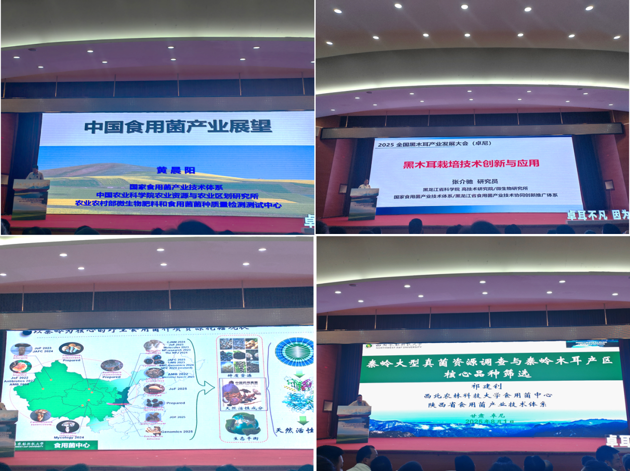 图片1_1754313558933.png