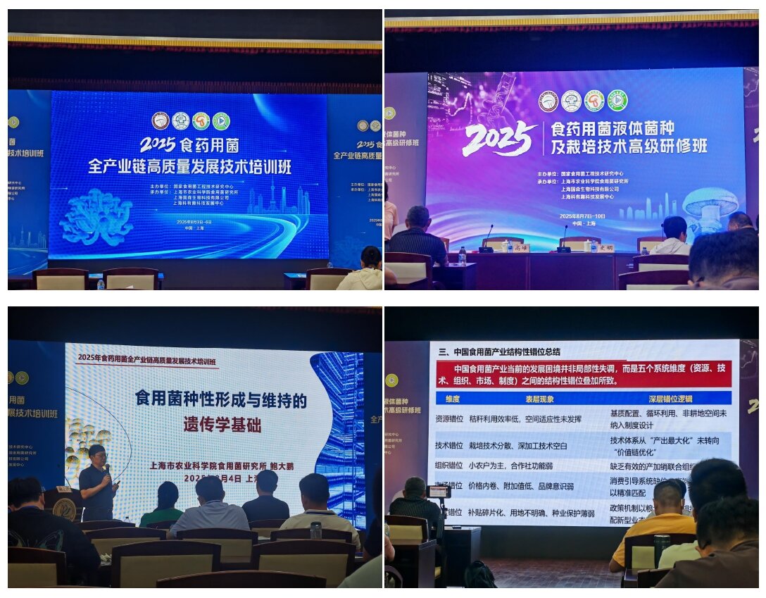 新闻稿图片_page-0001_1755072370627.jpg 新闻稿图片_page-0001_1755072370627.jpg