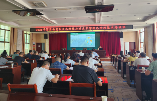 图片2_1756256556089.png