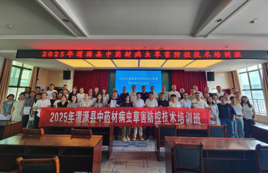 图片3_1756256556215.png