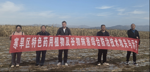图1_1761812268977.bmp