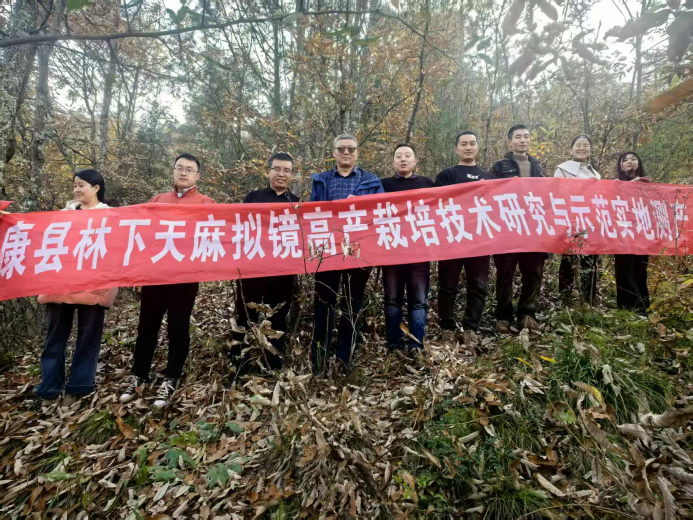图片1_1763103793318.png