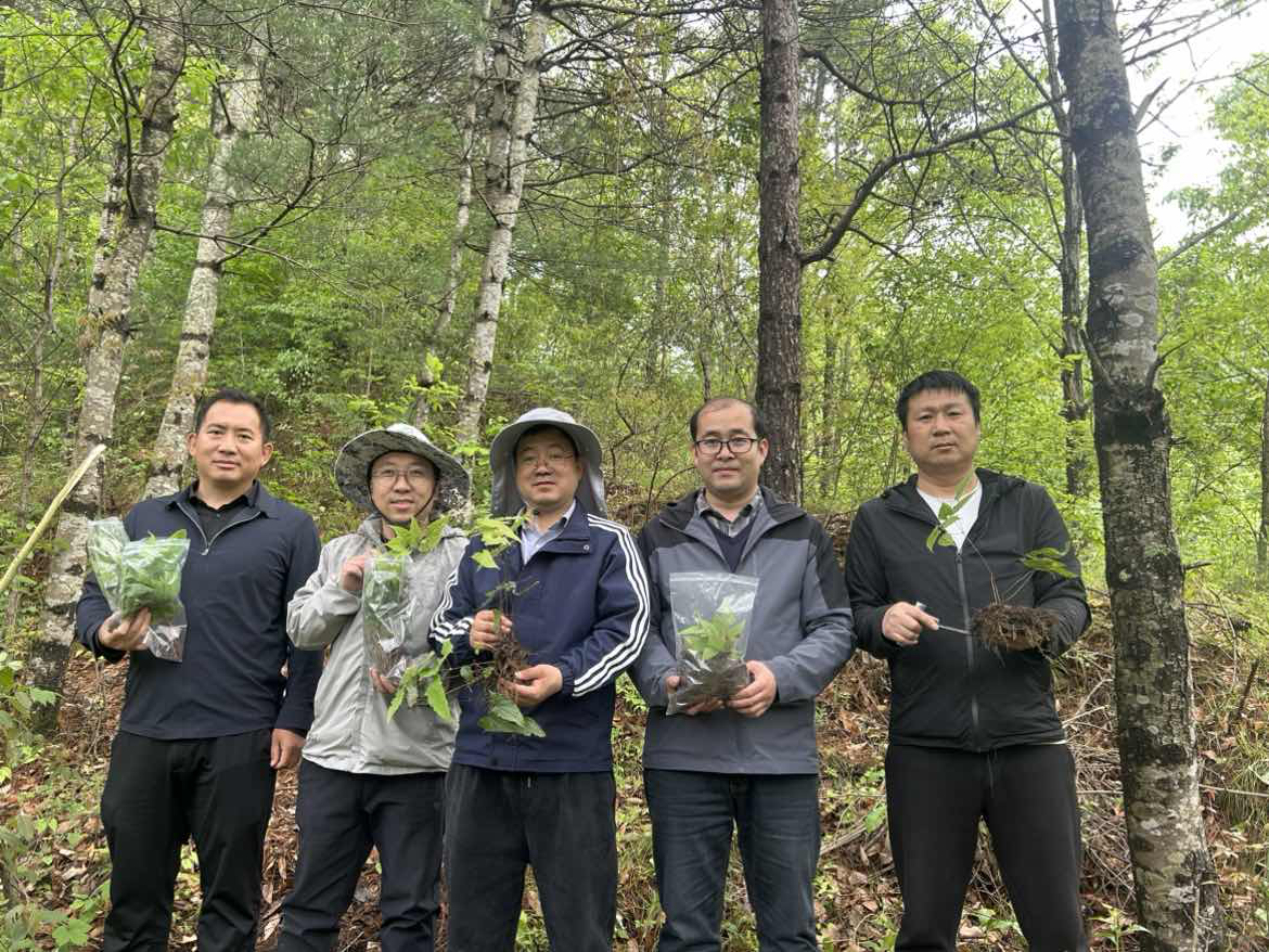 图片2_1776915442038.png 图片2_1776915442038.png