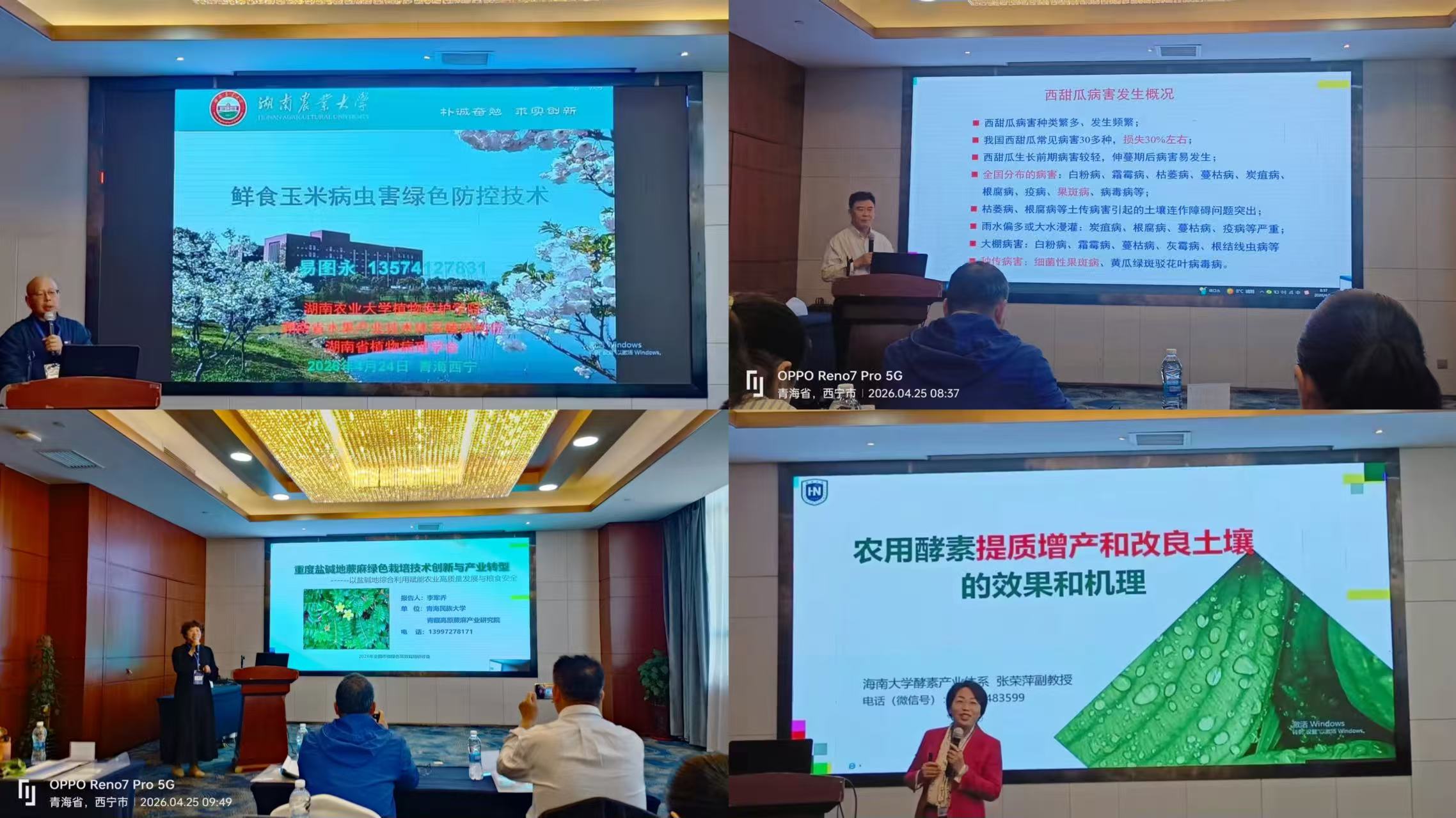 图片1_1777347776477.jpg 图片1_1777347776477.jpg