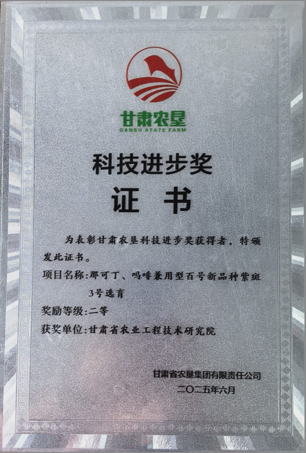 2025年甘肃农垦集团科技进步奖二等奖_1780824042989.png